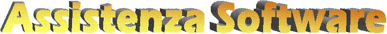 Assistenza Software

